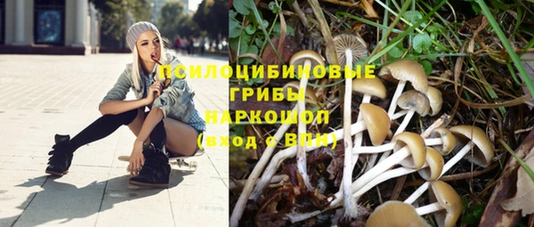 трава Пестово