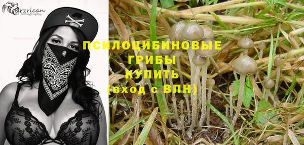 трава Пестово