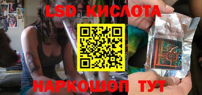 шишки Сланцы