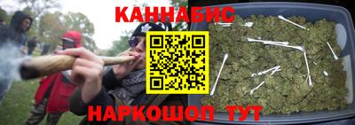шишки Сланцы