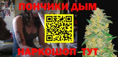 шишки Сланцы