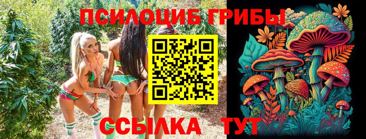 Галлюциногенные грибы MAGIC MUSHROOMS  Вход с VPN  Соликамск  наркошоп  Псилоцибиновые грибы Psilocybe 